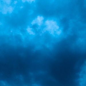 Meet your Posher, Lynnette